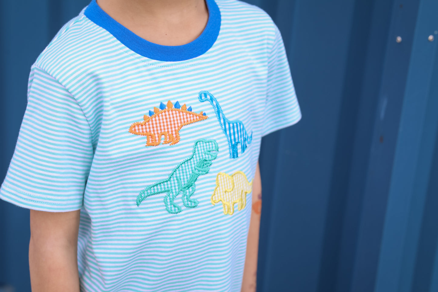 Dinosaur Short Set