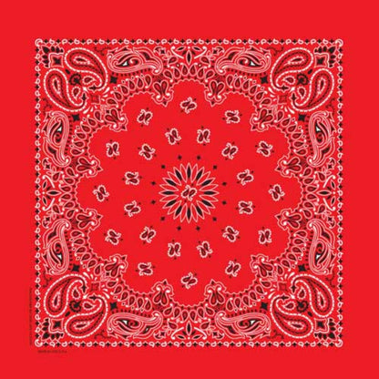 Western Bandana