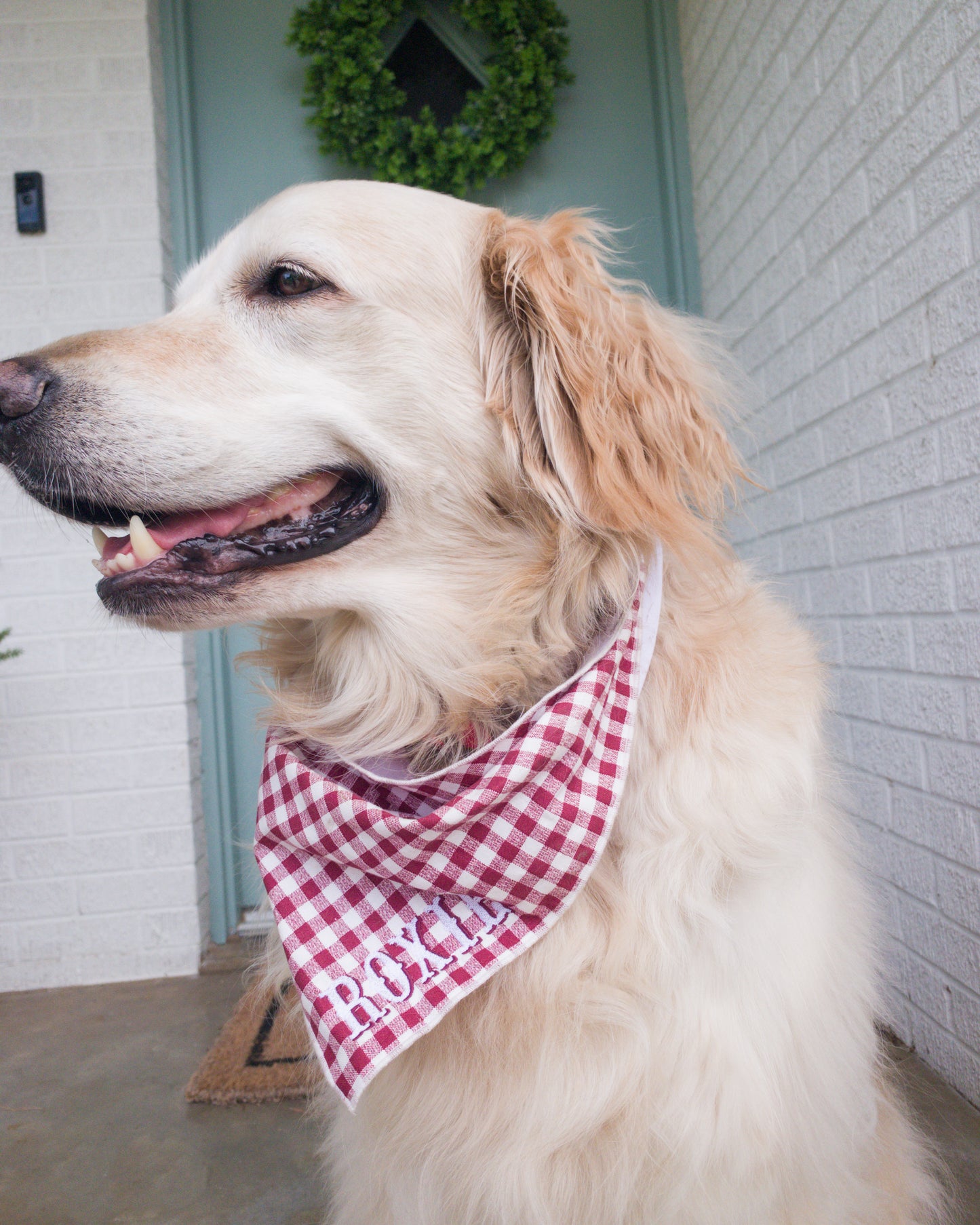 Pet Bandana