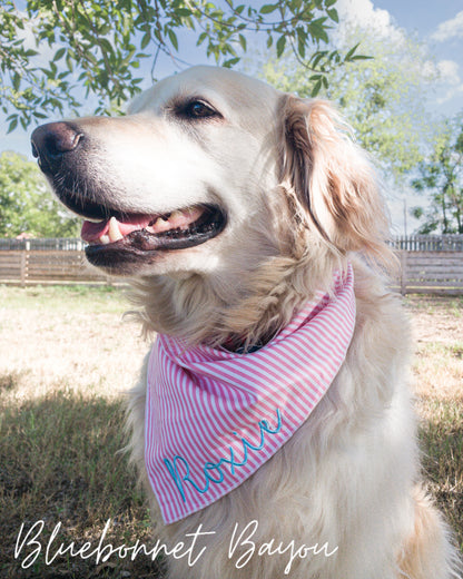 Pet Bandana